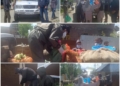 Handwara town fumigated, red zone gonipora get vegetables, essential commodities