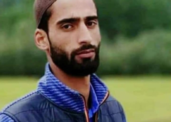 BSNL employee falls down from a tree while repairing fiber in Kupwara, dies