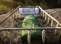 Army resuscitates grave of a Pakistani major killed in 1972 at Kupwara’s Nowgam sector