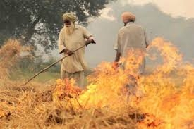 Why Stubble burning in punjab is more political than an environmental issue