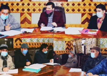 DC Kupwara chairs District Level Advisory Committee on safe food and healthy diets