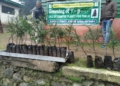 Kamraj Forest Division launched sale of conifer plants at Forest Complex Zangli Kupwara