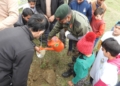 Plantation Drive in Lolab