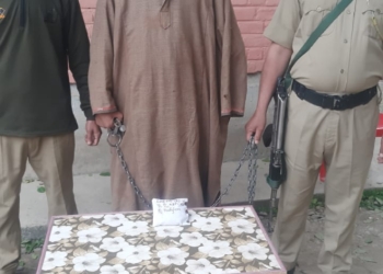Drug Peddler arrested in Kupwara, 80gms Heroin recovered