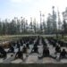 INDIAN ARMY CELEBRATED INTERNATIONAL YOGA DAY-2021 THROUGHOUT KUPWARA