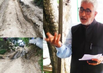Rangpath-Doggerpora Road completely Dilapidated