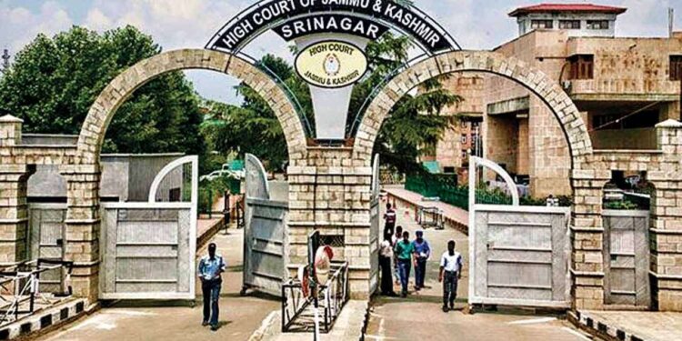 High Court stays single bench interim order stopping appointment of Law Officers