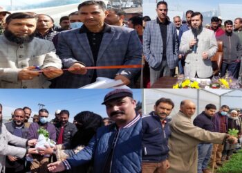 Imam Din kick starts sale of vegetable seedlings at Kupwara