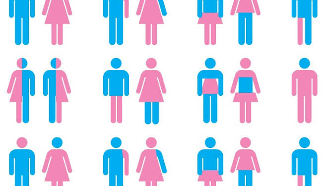 Gender studies and instability in society