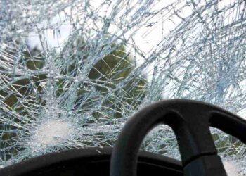 Driver dies after vehicle skids in Annatnag