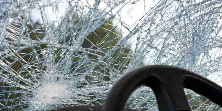 Driver dies after vehicle skids in Annatnag