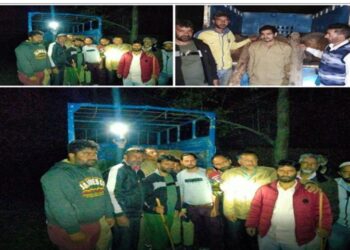 Vehicle with ‘illicit timber’ seized in Kupwara, driver held.