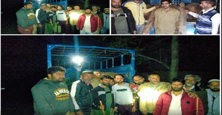 Vehicle with ‘illicit timber’ seized in Kupwara, driver held.