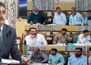 DDC Kupwara reviews power scenario
