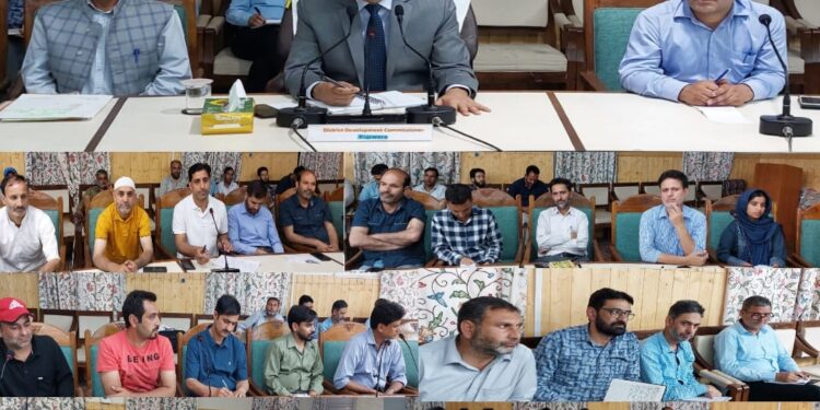 DC Kupwara reviewed digitization of Jamabandis under DILRMP