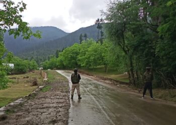 Two more militants killed in Lolab gunfight, toll four