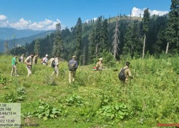 Nasha Mukt Bharat Abhiyaan: ‘Bhung’ cultivation destroyed in North Kashmir