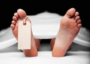 Man dies after hit by wooden log in Lolab Forests