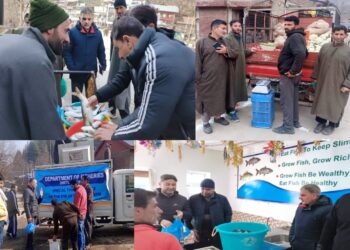 Trout fish,  fresh vegetables remain available on Herath at Kupwara