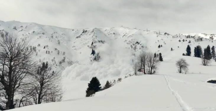 2 foreign tourists dead, 21 rescued after avalanche hits Afarwat Peak in Gulmarg