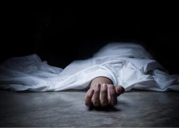 Top Hizbul commander from J&K killed in Pakistan