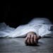 Top Hizbul commander from J&K killed in Pakistan