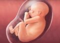 Scene From ‘3 Idiots’? With Doctor On Video Call : paramedics help woman deliver baby in Kupwara’s Keran