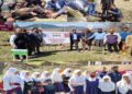 DFO Social Forestry kick-starts Chinar plantation drive at Kupwara