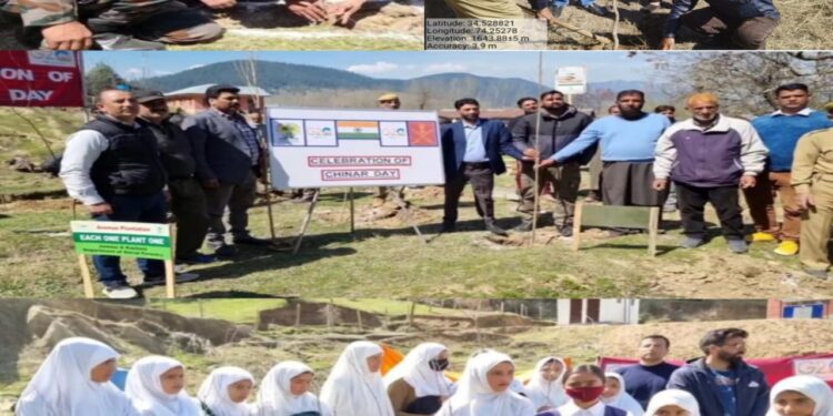 DFO Social Forestry kick-starts Chinar plantation drive at Kupwara