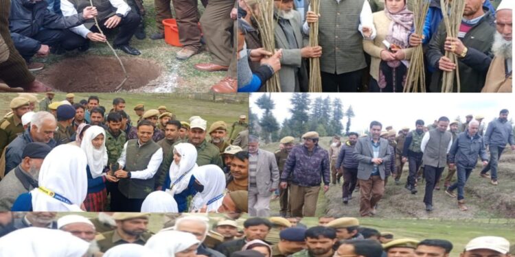 DC Kupwara kick-starts plantation drive at Deedikoot