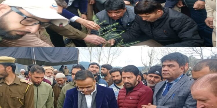 Chairman DDC, DC Kupwara kick start Plantation drive in Monabal Handwara1500 saplings planted in a day