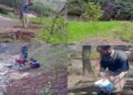 Over 50000 saplings planted in Kupwara district under “NREGA convergence plantation drive”