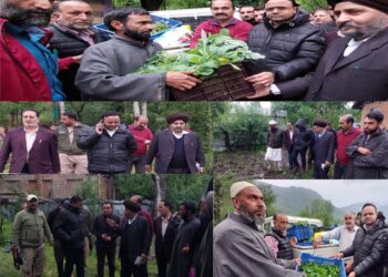 DC Kupwara visits hailstorm affected areas of the district.