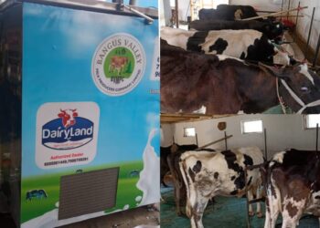 Kupwara district produces 1539, 50,000 liters of milk a year, becomes milk Surplus.