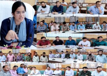 DC Kupwara Ayushi Sudan Chairs Revenue Officers Meeting,