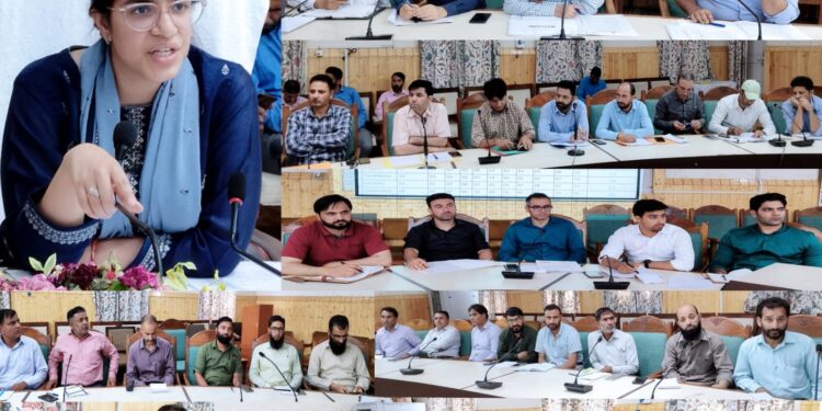 DC Kupwara Ayushi Sudan Chairs Revenue Officers Meeting,