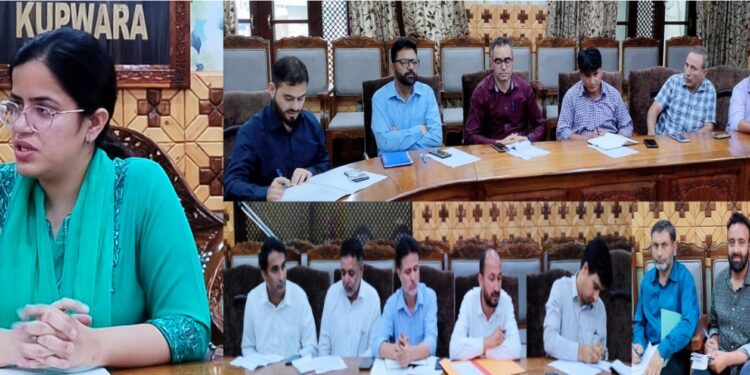 DC Kupwara reviews the progress of quality Check of digitalized Jammabandies, Backlog Mutations