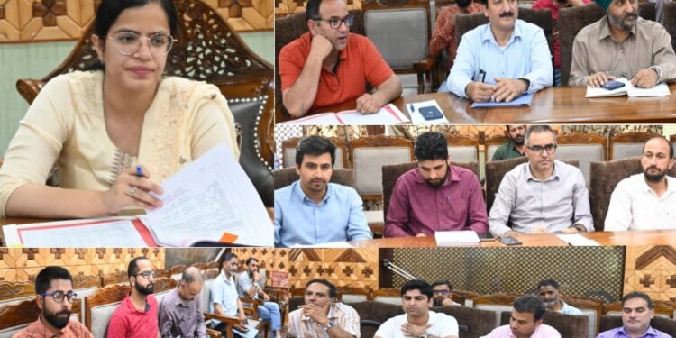DC Kupwara chairs DDMA meeting 21 cases approved, funds for restoration of 3 bridges also approved