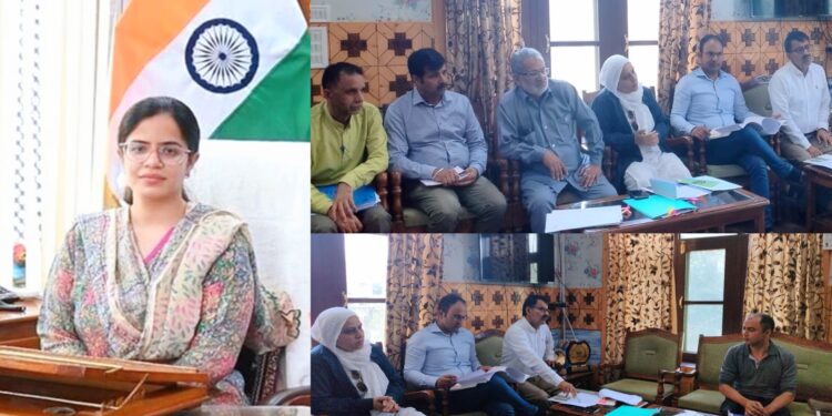 DC Kupwara reviews progress of cases under Mumkin, Tejaswani schemes