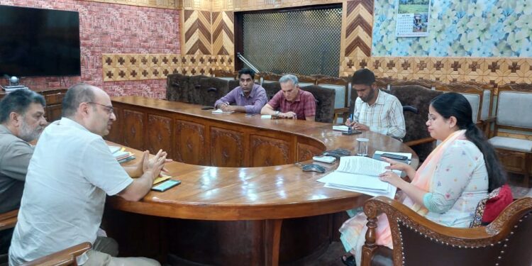 DC Kupwara Chairs Mining Plan Approval Committee Meeting
