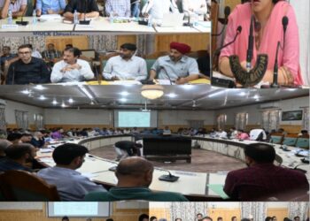 DC Kupwara reviews progress under Capex Budget, District developmental deliverables