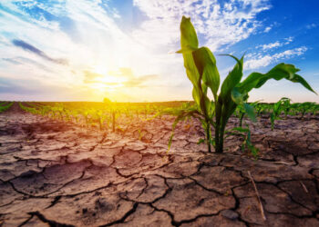 Lack of irrigation worries farmers in Kupwara