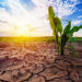 Lack of irrigation worries farmers in Kupwara
