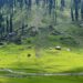 Bungus Tourism Festival: 75 offbeat destinations ready to be explored by tourists, says Govt