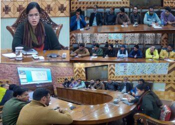 DC Kupwara Reviews Beautification measures of Municipal towns