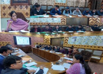 DC Kupwara reviews Power scenario in District
