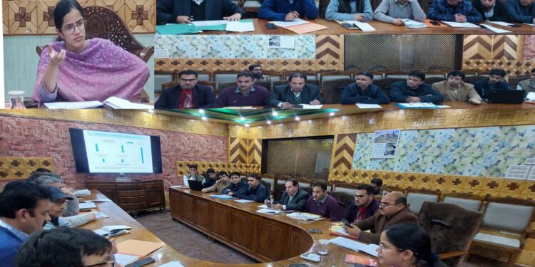 DC Kupwara reviews Power scenario in District