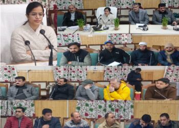 DC Kupwara chairs inaugural meeting of RDSS