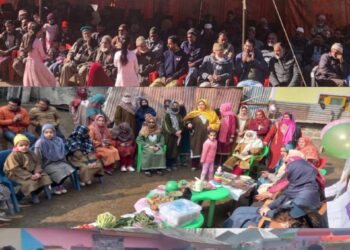 Mega events held at Teetwal, Keran, Machil, Trehgam under VBSY