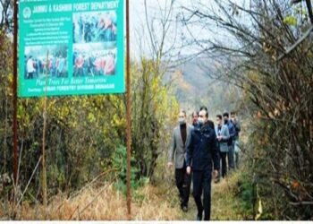 Forest department launches mobile app based attendance for field staff